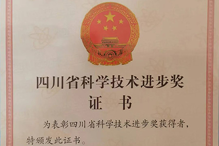 四川省科技进取三等奖